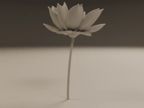 Lotus flower 3D Print Model