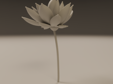 Lotus flower 3D 프린트 모델