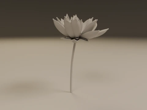 Lotus flower 3D Print Model