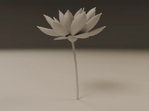 Lotus flower 3D Print Model