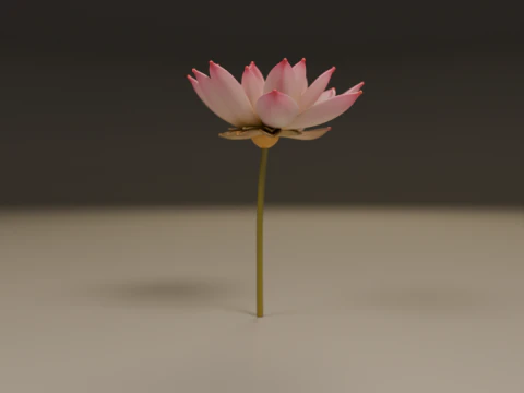 Lotus flower 3D Print Model
