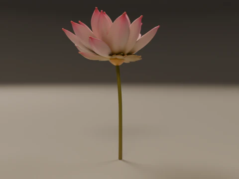 Lotus flower 3D Print Model