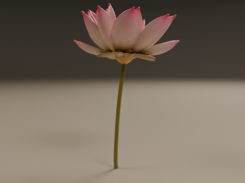 Lotus flower 3D 프린트 모델