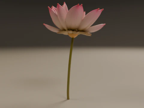 Lotus flower 3D Print Model