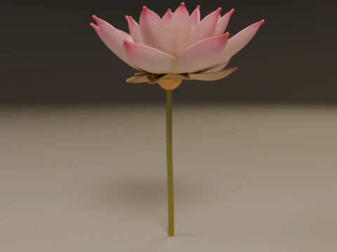 Lotus flower 3D Print Model