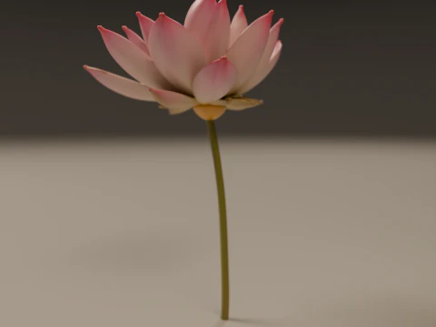 Lotus flower 3D Print Model