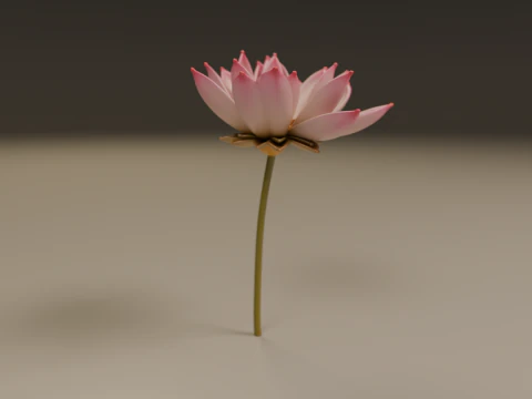 Lotus flower 3D Print Model