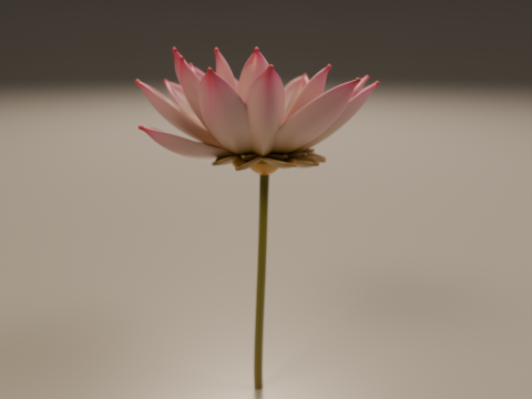 Lotus flower 3D 프린트 모델
