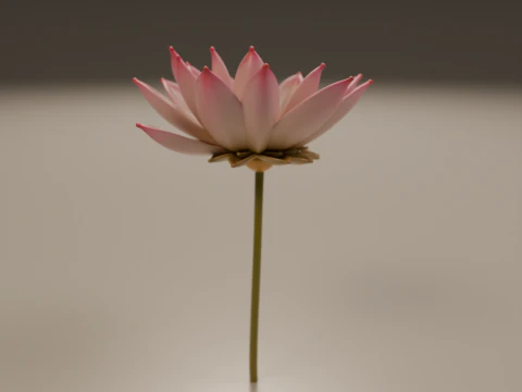 Lotus flower 3D Print Model