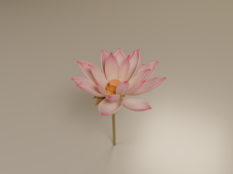 Lotus flower 3D 프린트 모델