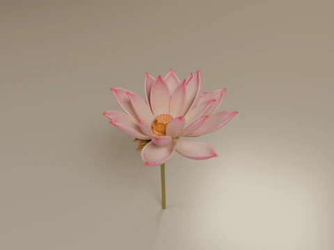 Lotus flower 3D Print Model