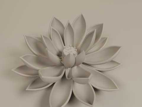 Lotus flower Modello di stampa 3D