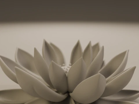 Lotus flower 3D Print Model