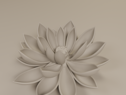 Lotus flower Modello di stampa 3D