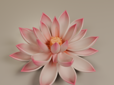 Lotus flower Modello di stampa 3D