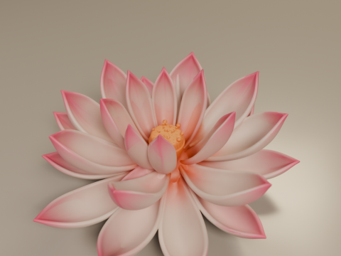 Lotus flower Modelo de Impressão 3D