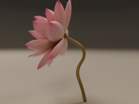 Lotus flower Modelo de Impressão 3D