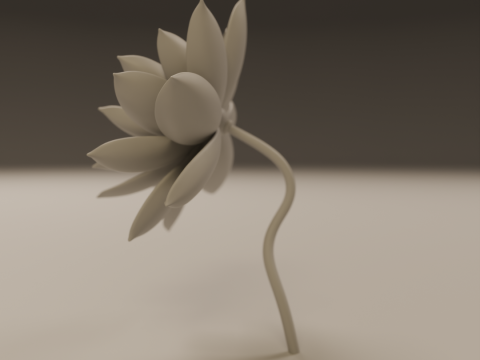 Lotus flower Modelo de Impressão 3D