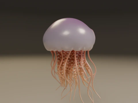 Jellyfish 3D Print Model