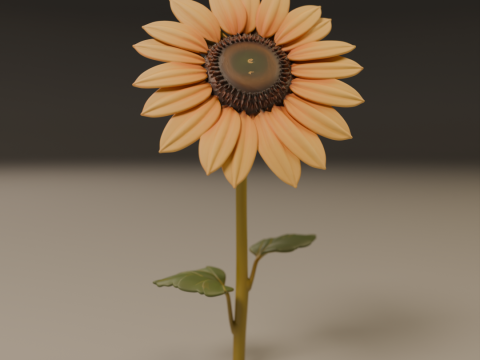 Sunflower 3D Print Model