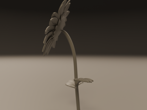 Sunflower Modelo de Impressão 3D