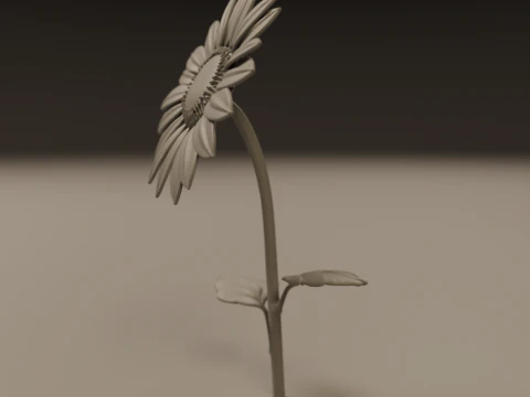Sunflower 3D Print Model