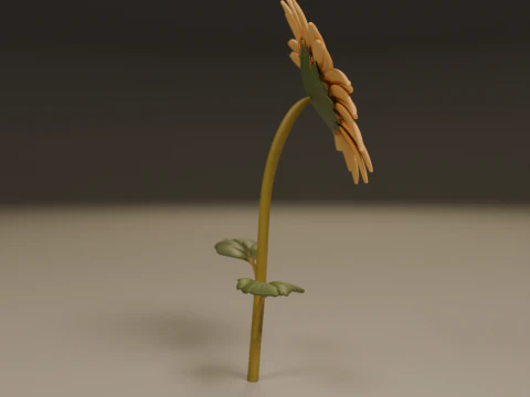 Sunflower 3D Print Model