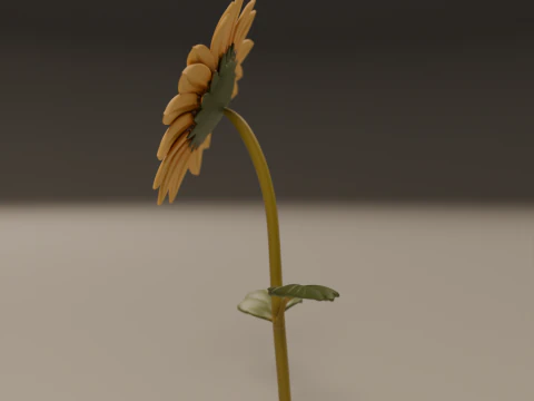 Sunflower 3D Print Model