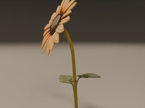 Sunflower Modelo de Impressão 3D