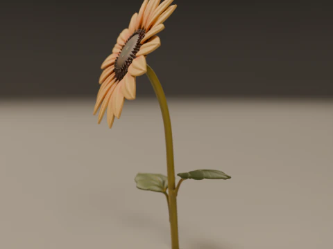 Sunflower 3D Print Model