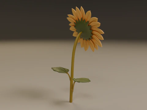 Sunflower 3D Print Model