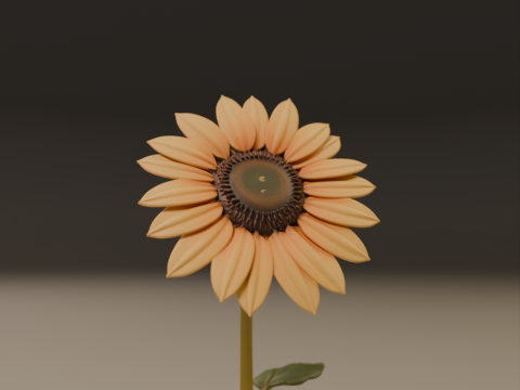 Sunflower Modelo de Impressão 3D