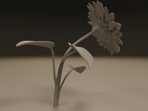 Sunflower 3D Print Model