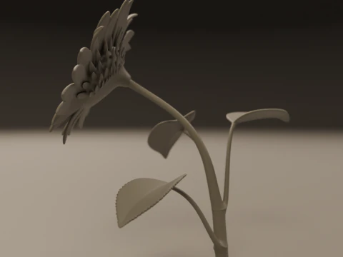 Sunflower 3D Print Model