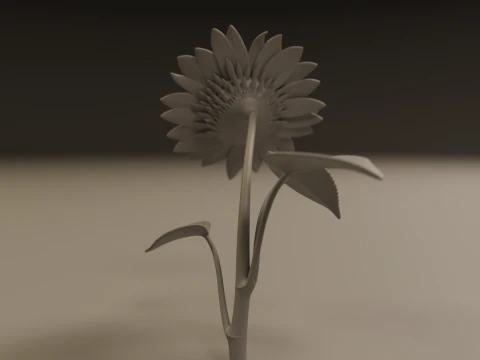 Sunflower 3D Print Model