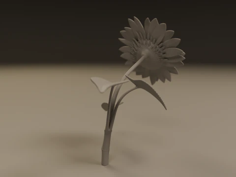 Sunflower 3D Print Model