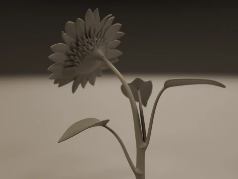 Sunflower 3D Print Model