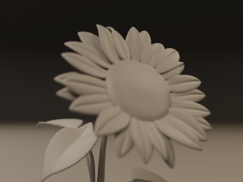 Sunflower 3D Принт Модель