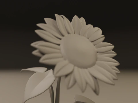 Sunflower 3D Print Model