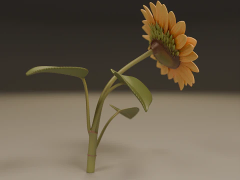 Sunflower 3D Print Model