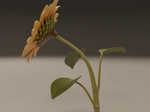 Sunflower 3D Print Model
