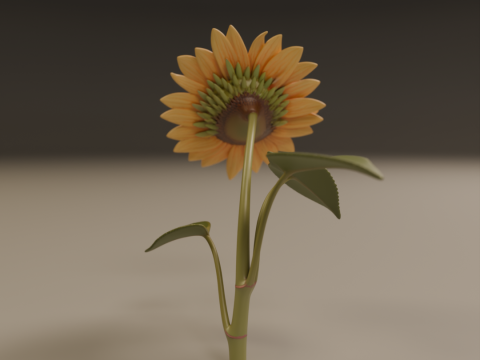 Sunflower 3D Принт Модель