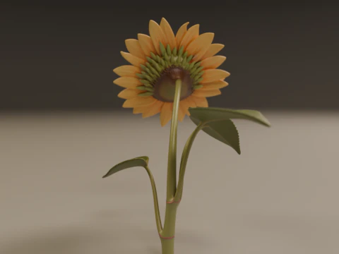 Sunflower 3D Print Model