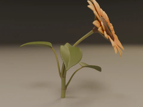 Sunflower 3D Print Model