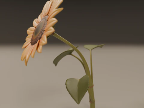Sunflower 3D Print Model