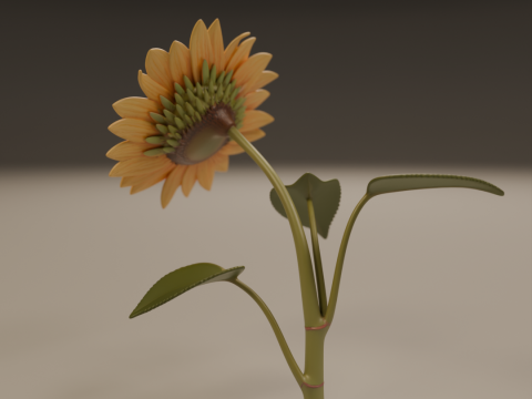 Sunflower 3D Принт Модель