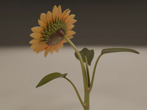 Sunflower 3D Print Model