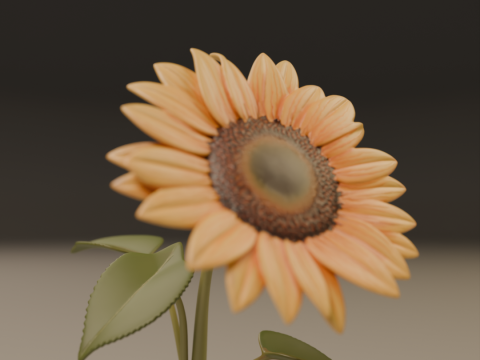 Sunflower 3D Принт Модель