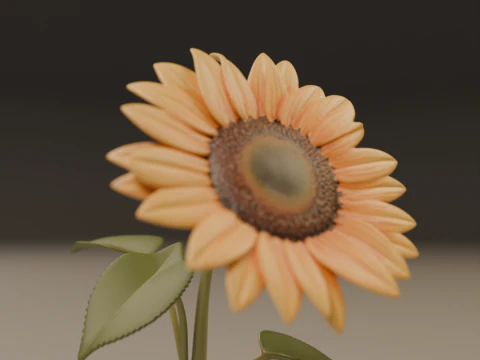 Sunflower 3D Print Model