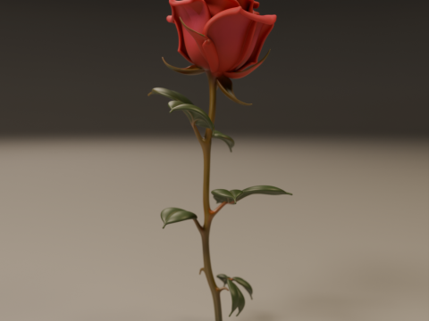 Rose flower 3D Print Model